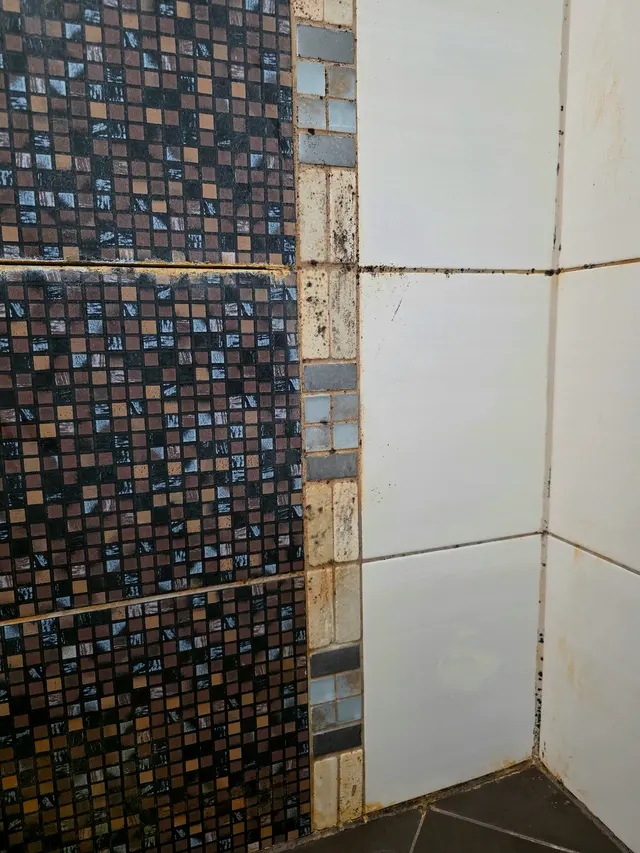 WhiteRoom Home Services SRL - Expertica